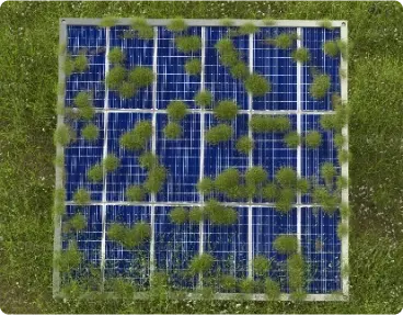 panels